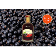 Čierna Ríbezľa Mini 0,2l